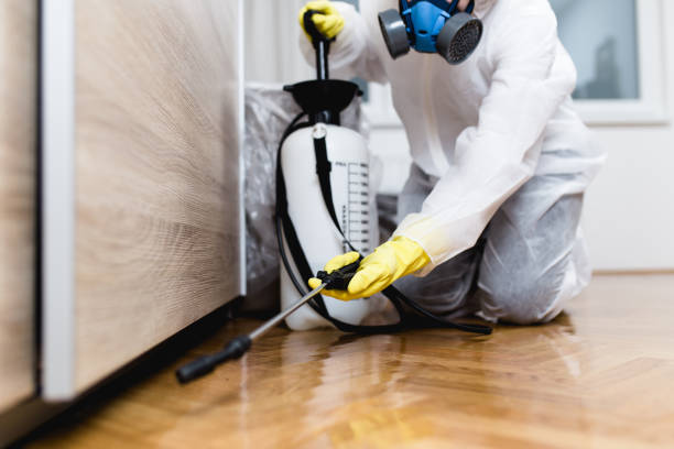 Best Affordable Pest Control Services  in Pleasantdale, NJ