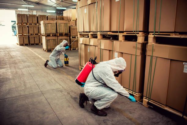 Trusted Pleasantdale, NJ Pest Control Experts