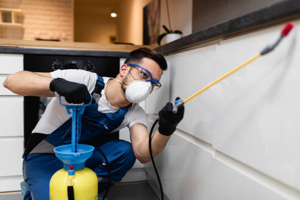 Best Local Pest Control Services  in Pleasantdale, NJ