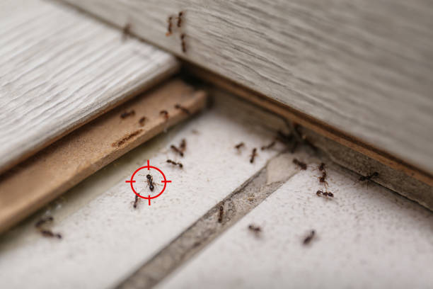 Best Pest Removal Services  in Pleasantdale, NJ