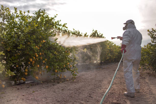 Best Rat Extermination Near Me  in Pleasantdale, NJ